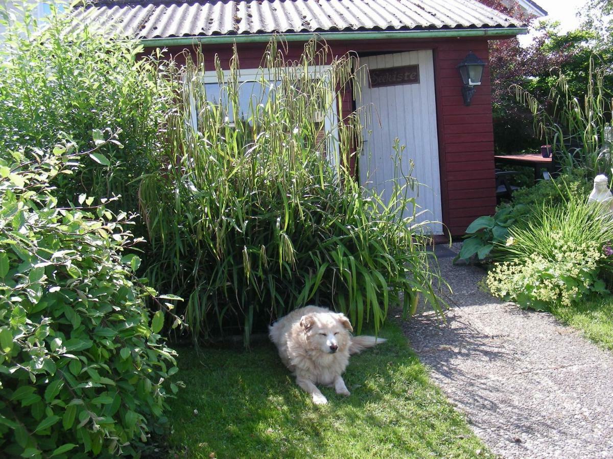 Ferienwohnung Kreider Dagebull Bagian luar foto